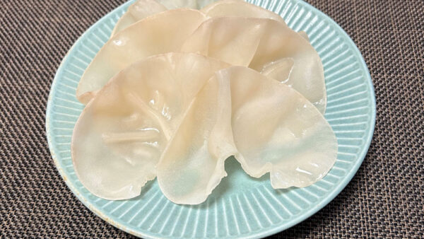 希少な白いきくらげ「白アラゲキクラゲ」